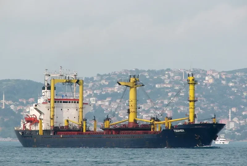 AVEIRO Bulk Carrier IMO 7722712 photo 5