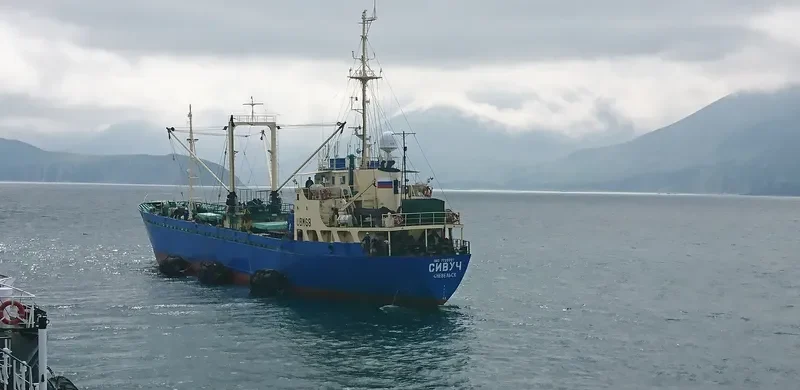 SIVUCH General Cargo IMO 7723027 photo 8