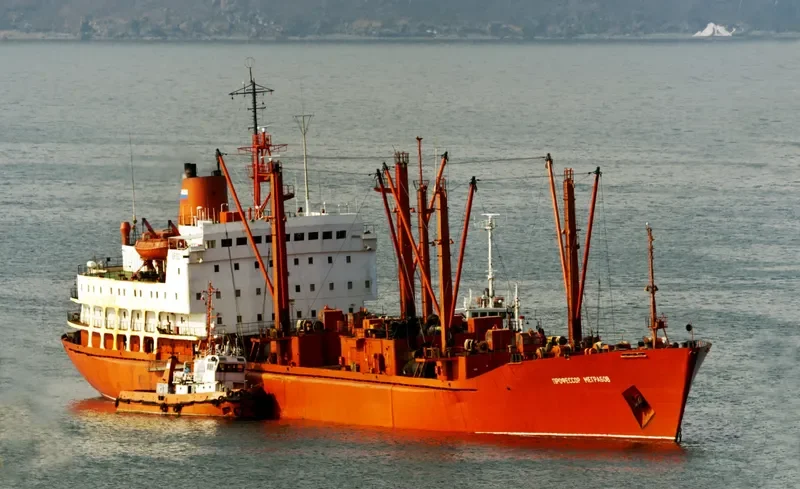 PROFESSOR MEGRABOV General Cargo IMO 7723065 photo 7