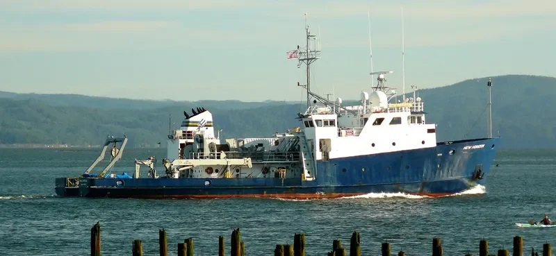 BOLD HORIZON General Cargo IMO 7723821 photo 6