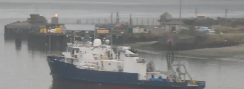 BOLD HORIZON General Cargo IMO 7723821 photo 9