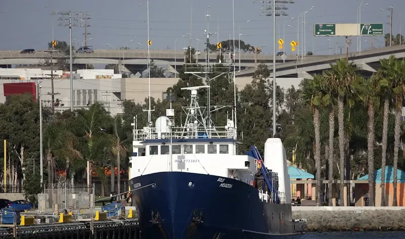 BOLD HORIZON General Cargo IMO 7723821 photo 10