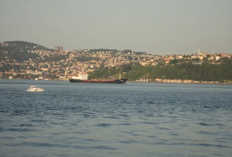 BORA Bulk Carrier IMO 7724368 photo 3