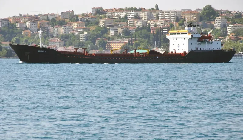 BORA Bulk Carrier IMO 7724368 photo 4