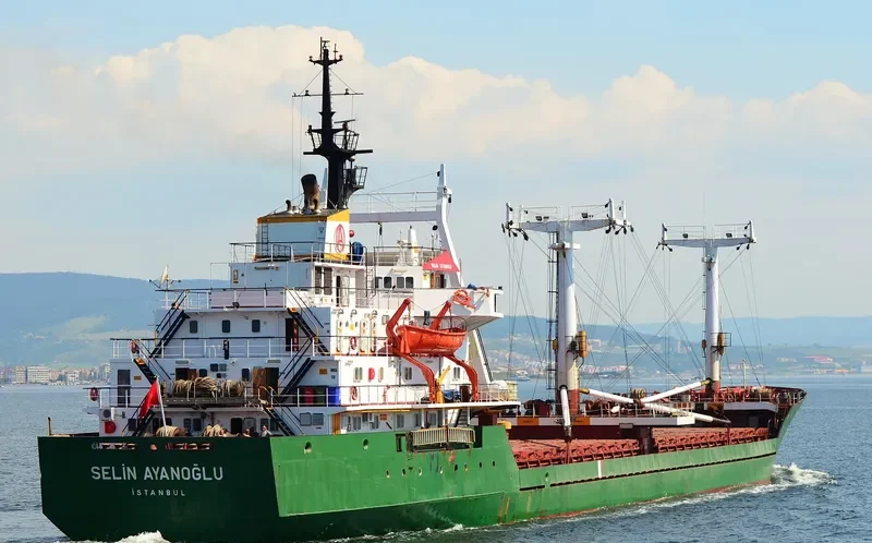 SELIN AYANOGLU General Cargo Vessel IMO 7724370