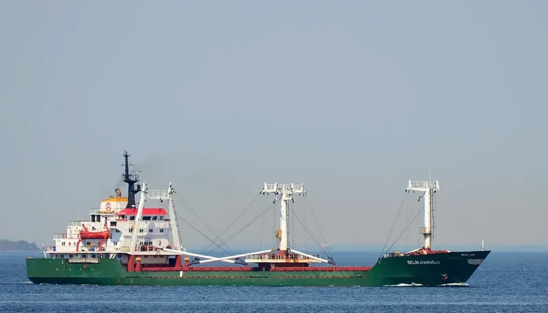 SELIN AYANOGLU General Cargo Vessel IMO 7724370 photo 2