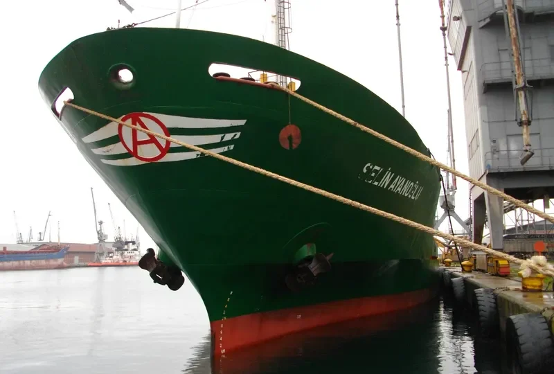 SELIN AYANOGLU General Cargo Vessel IMO 7724370 photo 6