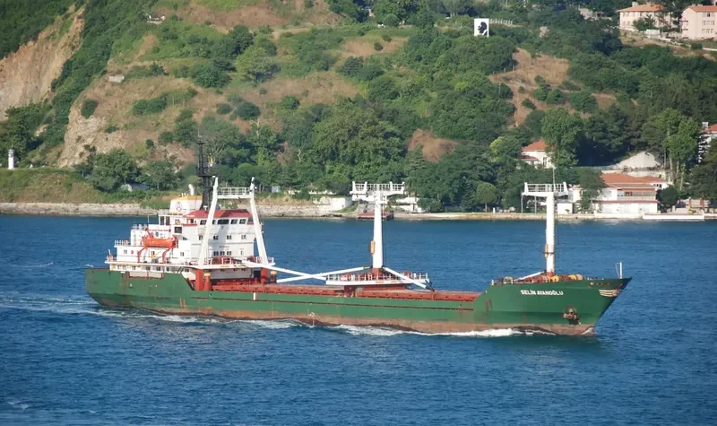 SELIN AYANOGLU General Cargo Vessel IMO 7724370 photo 8