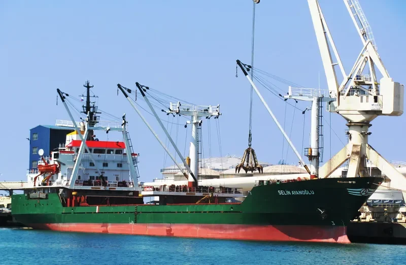 SELIN AYANOGLU General Cargo Vessel IMO 7724370 photo 9