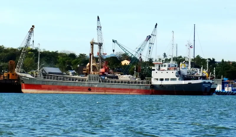 QUEEN OF PEACE General Cargo IMO 7724899 photo 2