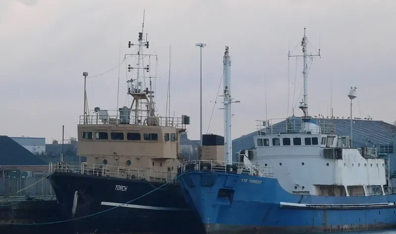 TORCH Navy IMO 7725465