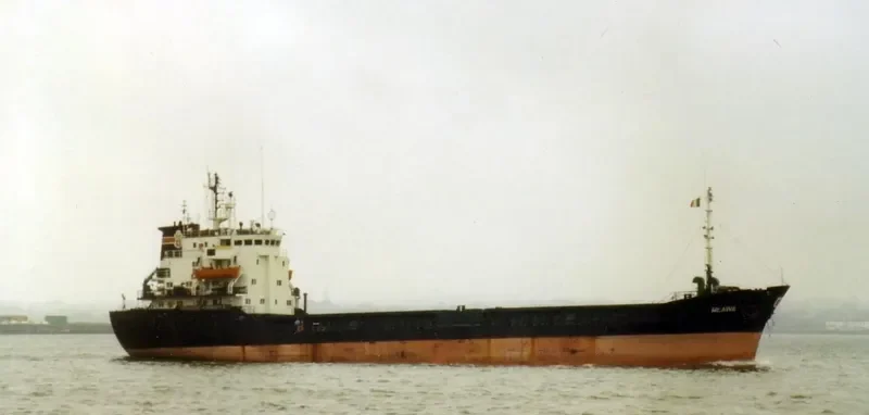VASSILIKI Bulk Carrier IMO 7725506 photo 2