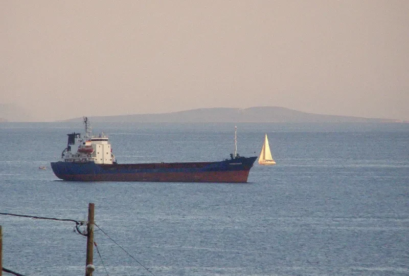 VASSILIKI Bulk Carrier IMO 7725506 photo 4