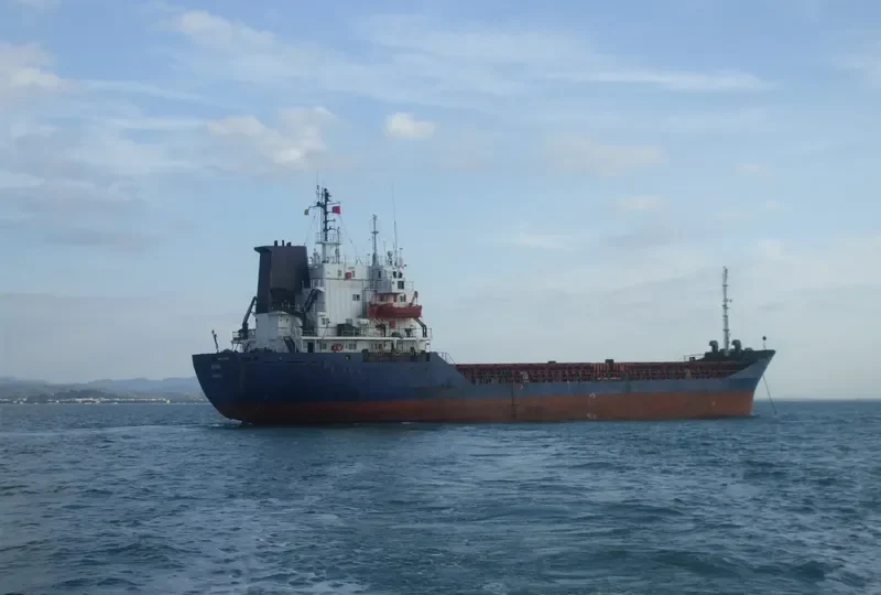 VASSILIKI Bulk Carrier IMO 7725506 photo 6