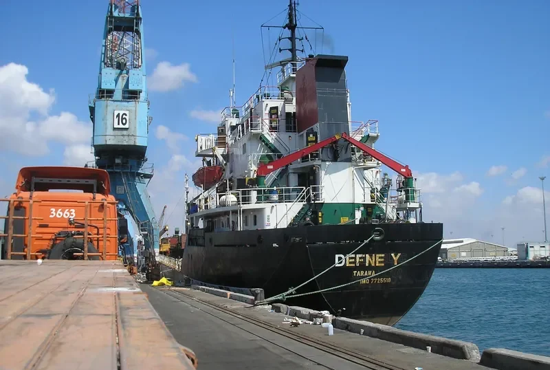 DEFNE Y Bulk Carrier IMO 7725518 photo 5