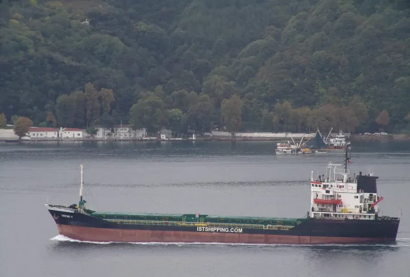 DEFNE Y Bulk Carrier IMO 7725518 photo 6