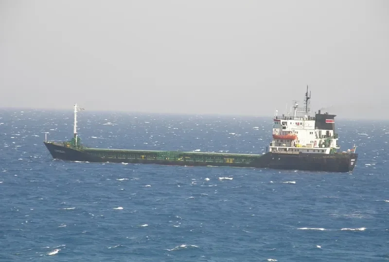 DEFNE Y Bulk Carrier IMO 7725518 photo 8