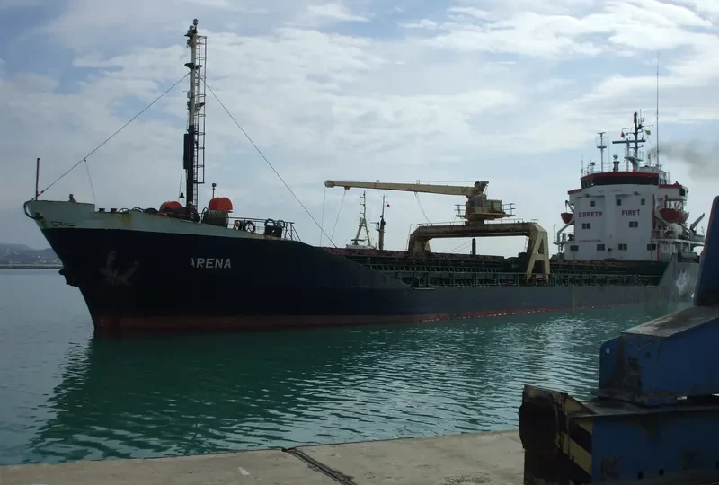 ARENA Bulk Carrier IMO 7725568 photo 2