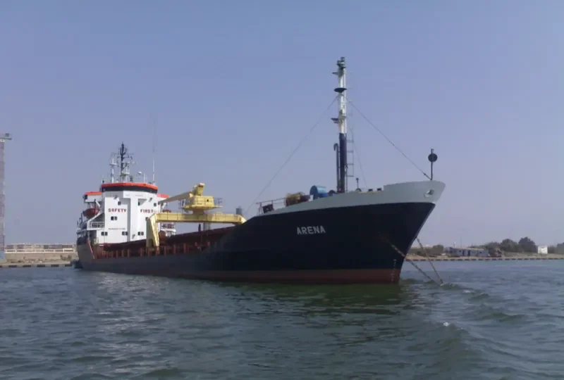 ARENA Bulk Carrier IMO 7725568 photo 4