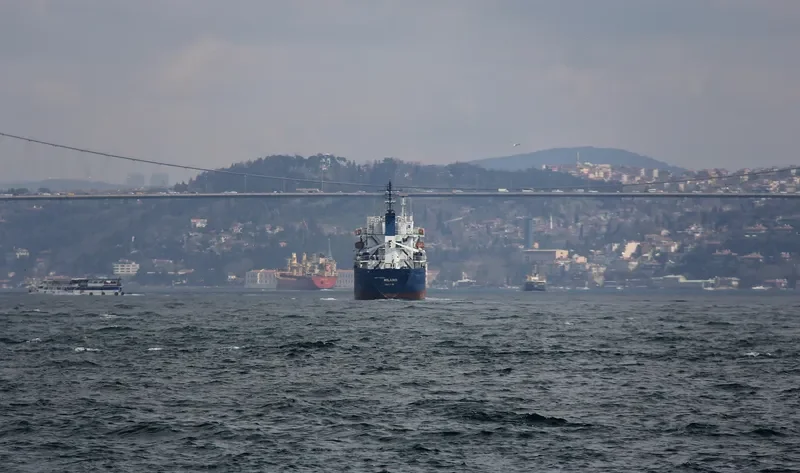 MILANO General Cargo Vessel IMO 7725609 photo 2