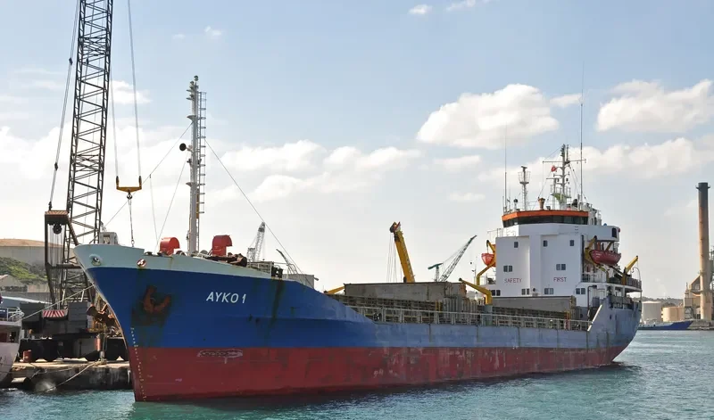 AYKO 1 Bulk Carrier IMO 7725611