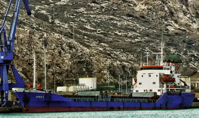 AYKO 1 Bulk Carrier IMO 7725611 photo 3