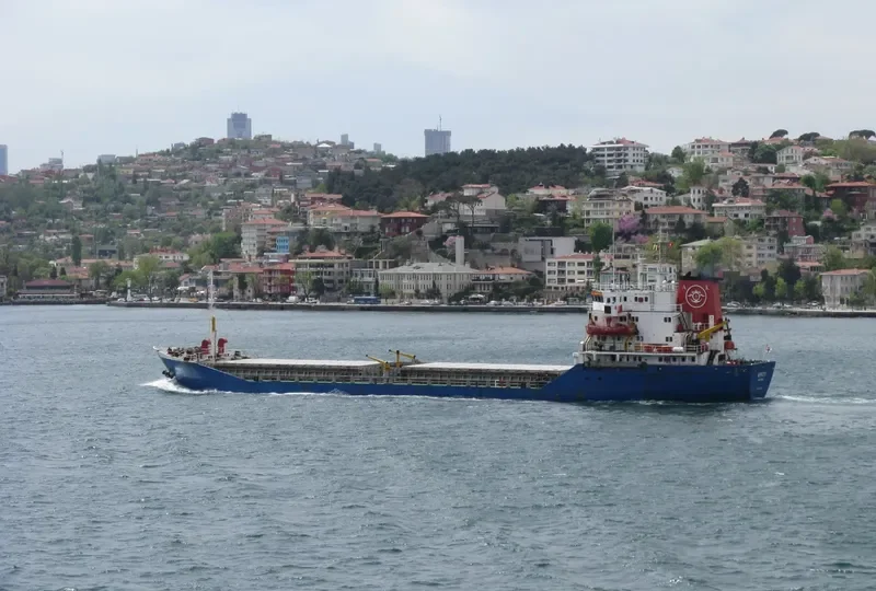 AYKO 1 Bulk Carrier IMO 7725611 photo 4