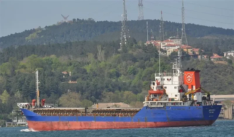 AYKO 1 Bulk Carrier IMO 7725611 photo 5