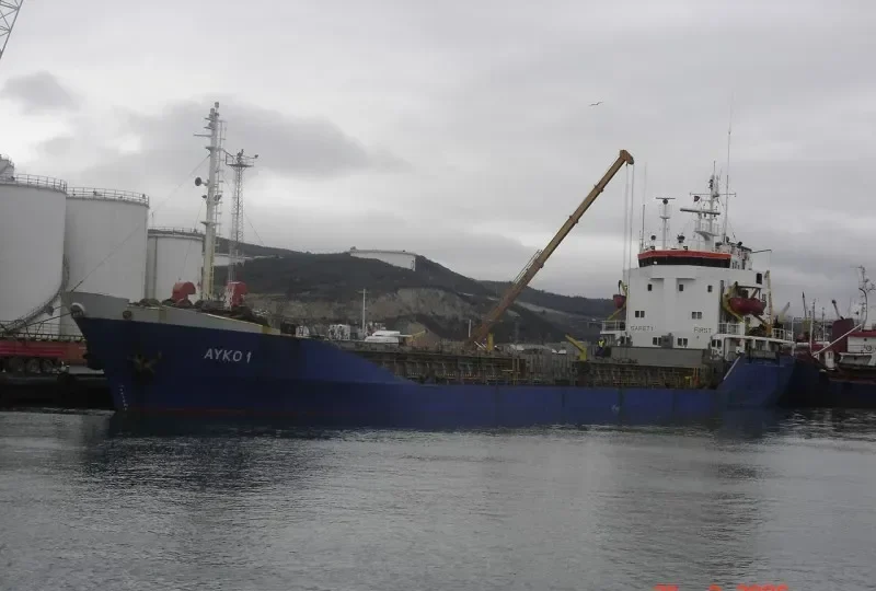 AYKO 1 Bulk Carrier IMO 7725611 photo 7