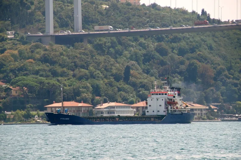 PYRAMIS General Cargo Vessel IMO 7725647 photo 10