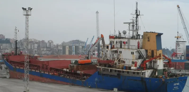 DEFNE Bulk Carrier IMO 7725659 photo 3