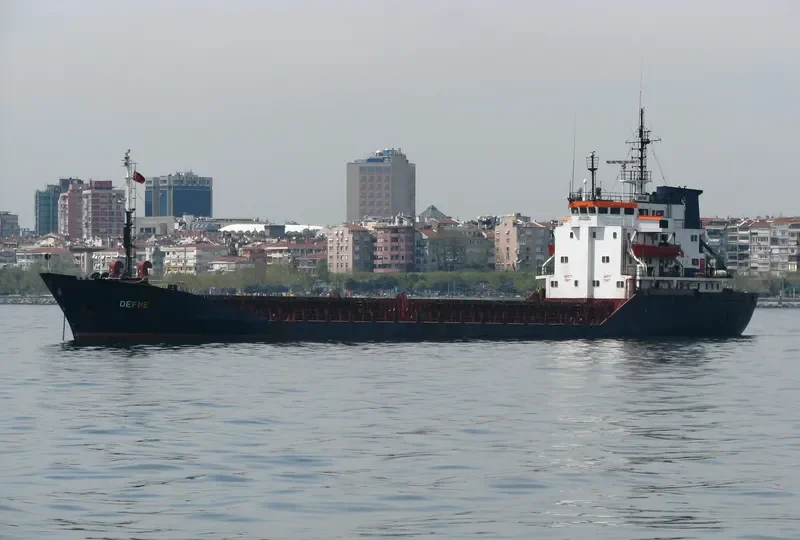 DEFNE Bulk Carrier IMO 7725659 photo 6