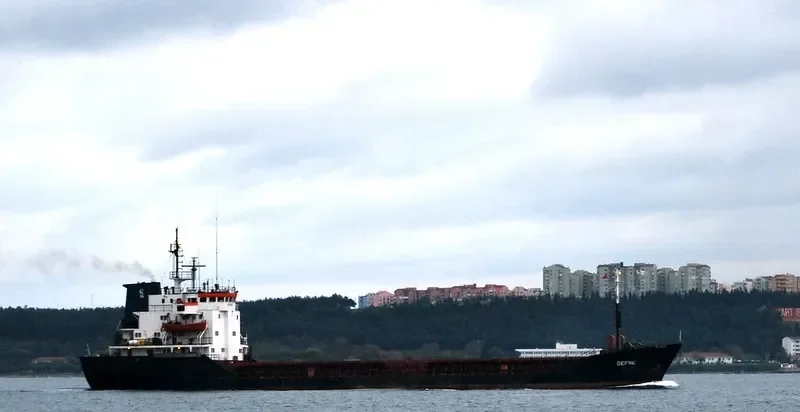 DEFNE Bulk Carrier IMO 7725659 photo 7