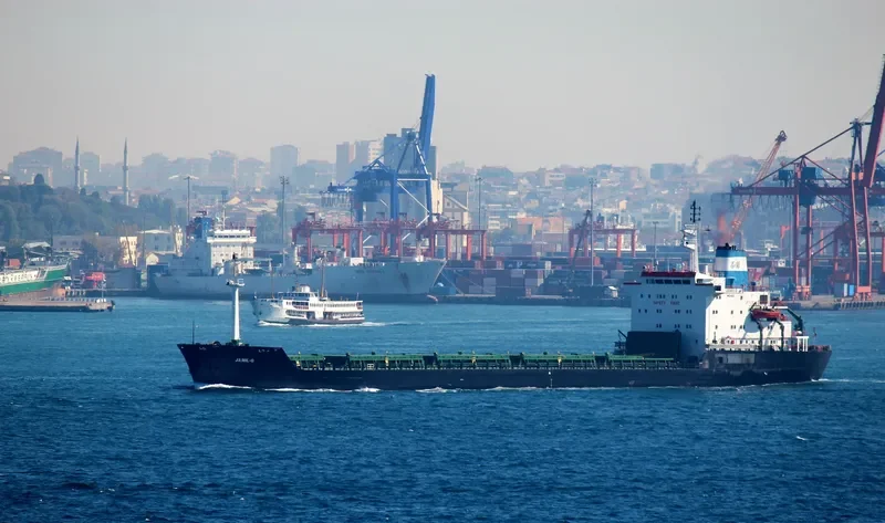 SABINO Bulk Carrier IMO 7725673 photo 3