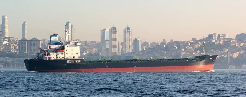 SABINO Bulk Carrier IMO 7725673 photo 5