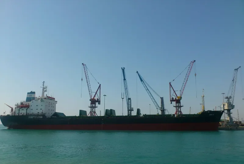 SABINO Bulk Carrier IMO 7725673 photo 7