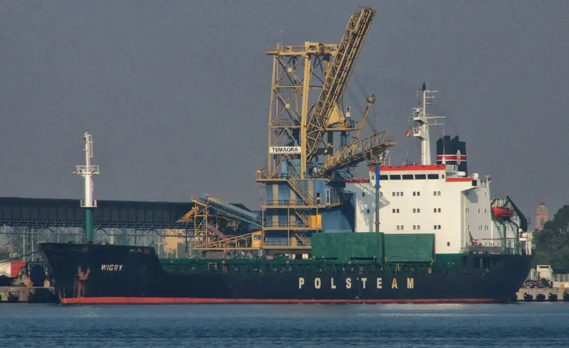 MINO G Bulk Carrier IMO 7725697 photo 3