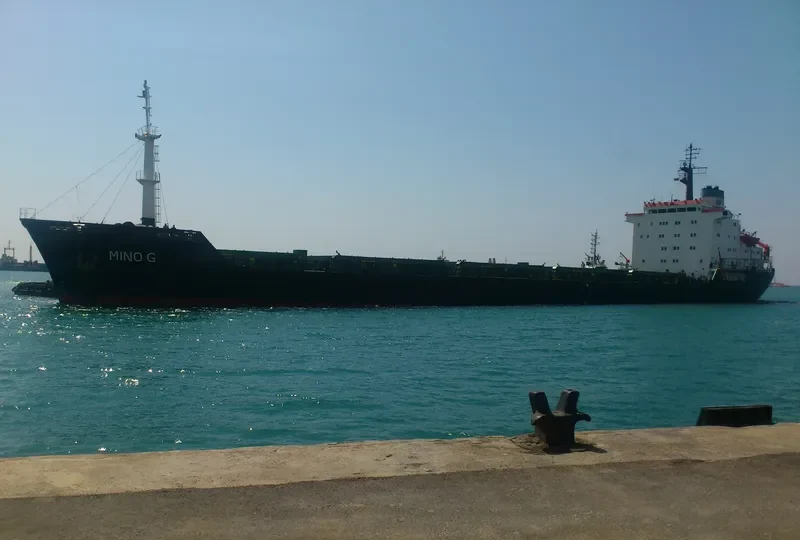 MINO G Bulk Carrier IMO 7725697 photo 9
