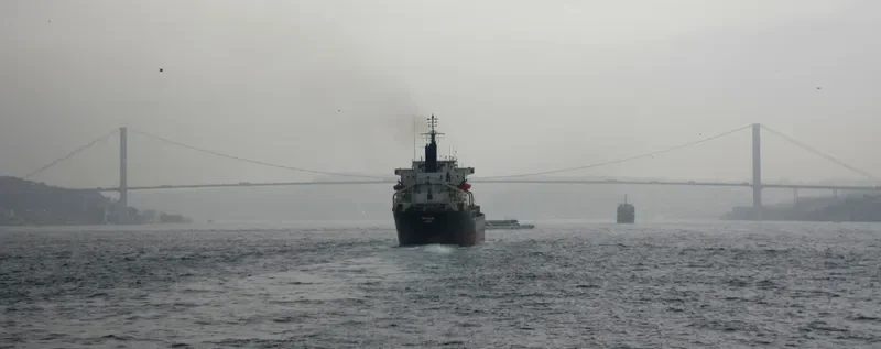 DIDDLE Bulk Carrier IMO 7725714 photo 4