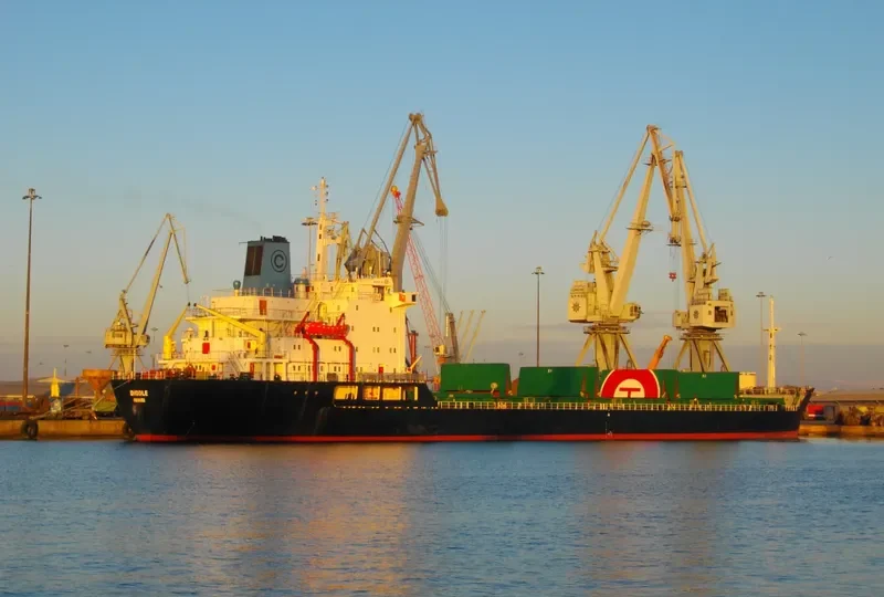 DIDDLE Bulk Carrier IMO 7725714 photo 8