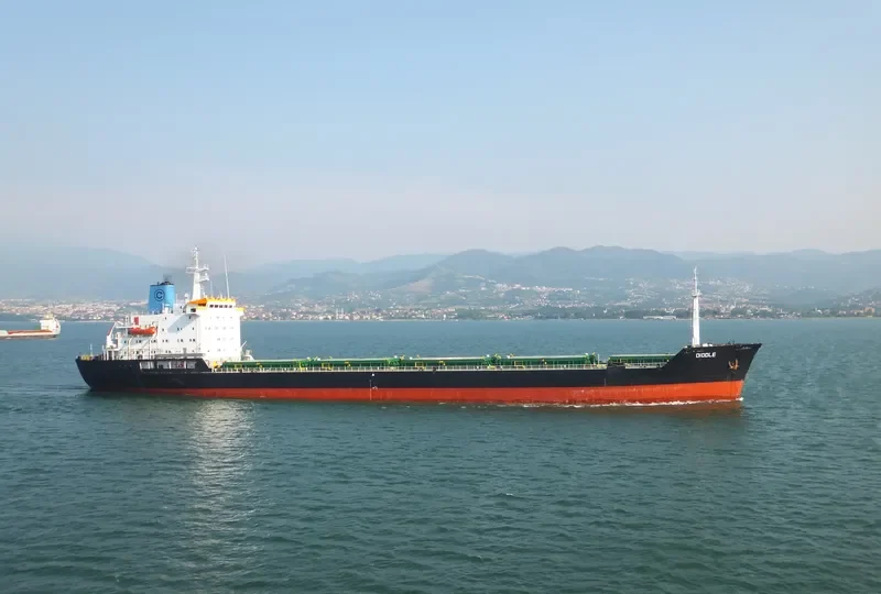 DIDDLE Bulk Carrier IMO 7725714 photo 10