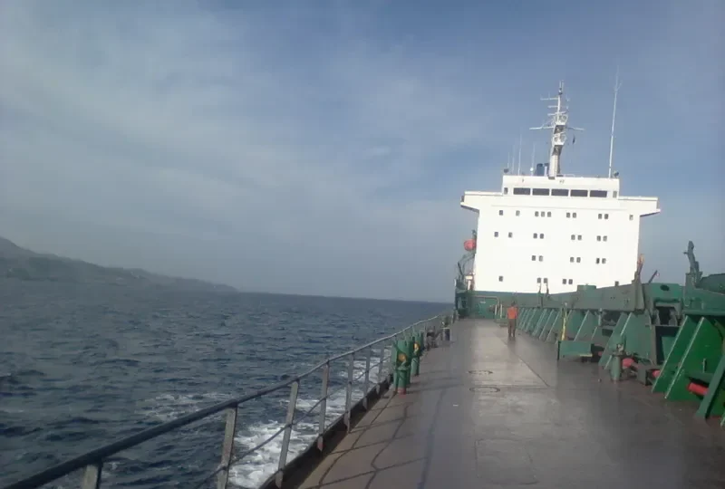 KHOLMSK Bulk Carrier IMO 7725738 photo 10