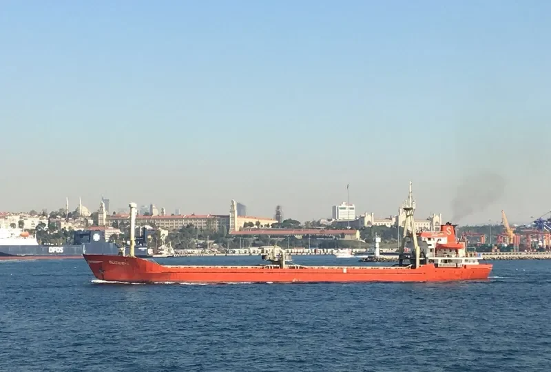MEDUSA S General Cargo IMO 7726213