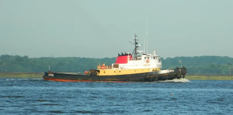 PATRIARCH General Cargo IMO 7726524 photo 8