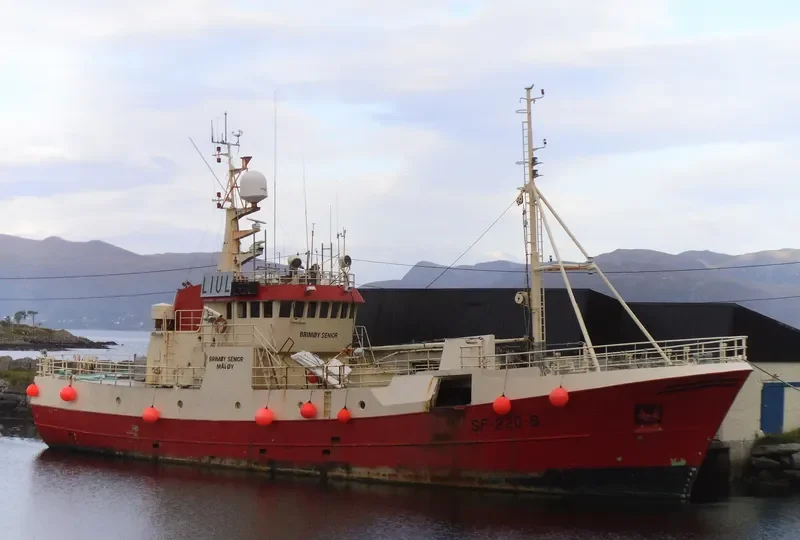 BRIMOY SENIOR General Cargo IMO 7727437 photo 2