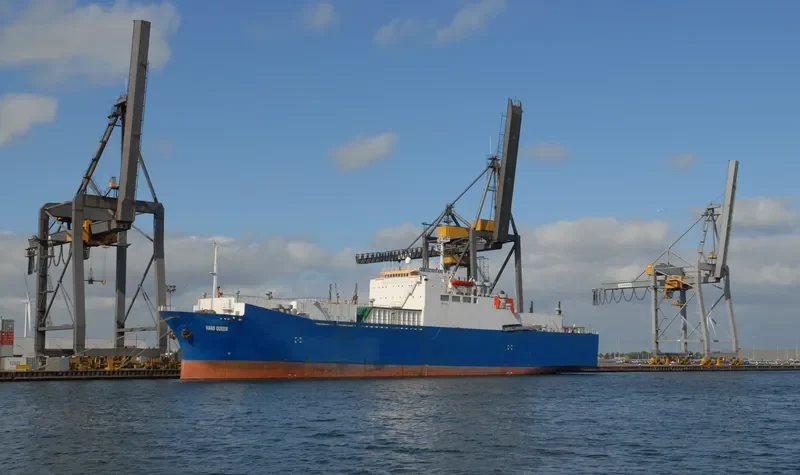 VANS QUEEN Ro-Ro IMO 7727683 photo 3