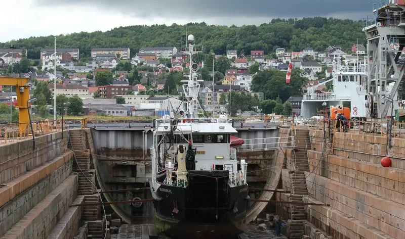 GRIMM General Cargo IMO 7728481 photo 7