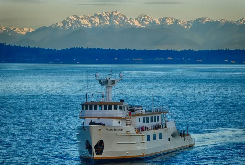 PACIFIC PROVIDER General Cargo IMO 7728637 photo 8