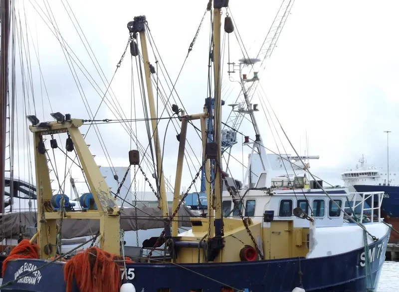 JANE ELIZABETH General Cargo IMO 7728651 photo 6