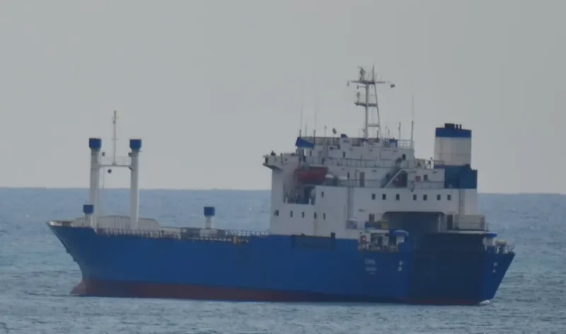 CIRKIN Ro-Ro IMO 7728699 photo 3